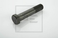 PE šroub kola MAN/MB 22x115