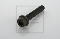PE šroub kotouče MB M14x1,5x75 torx