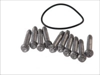 sada šroubů kotouče SAF BI pro INTEGRAL M12x1,5x75 sada 10ks - TORX hlava nové provedení