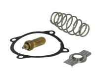 termostat IVECO Cursor