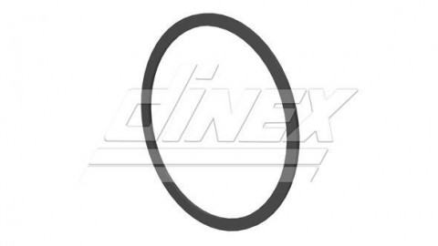 DINEX kroužek výfuku DAF LF EURO 6