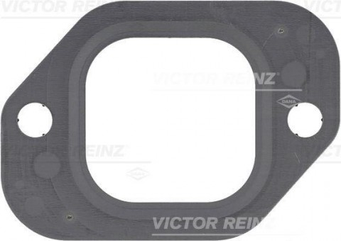 REINZ těsnění sběrného potrubí VOLVO, RVI