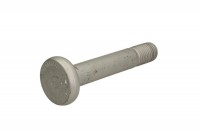 čep pera M30x170 BPW kul.hlava