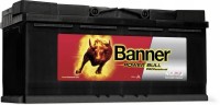 BANNER autobaterie 12V / 110Ah IVECO 394x175x190