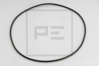 PE O-kroužek MAN 255x5B NBR3