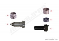 MYCALIPER OPS samostavu SCHMITZ (WABCO MAXX22T)