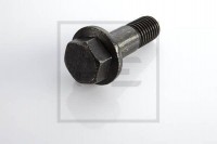 PE šroub DAF M18x55