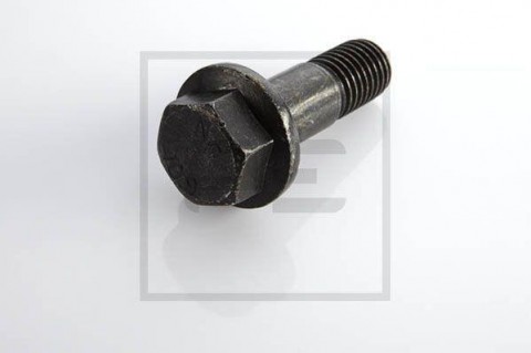 PE šroub DAF M18x55