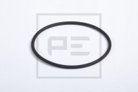 PE O-kroužek náboje kola DAF zn CF/XF zelený