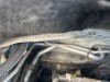 Citroen C3 1,0 VTI 50KW rok 2016 prodám díly