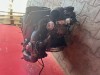 Motor 1,9TDI 96 KW VW Passat typ AVF kompletní
