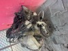 Motor 1,4i 44KW AUD Seat Inca Ibiza kompletní