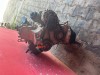 Motor 1,2 HTP 40KW kód BMD VW, Škoda, Seat komplet