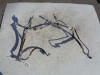 hadice pro klimatizaci na citroen c4 1,6 16V,