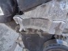 motor na ford fiestu mk7 1,25, SJNB