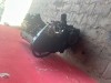 Motor 1,9TD 66KW DHY - DHX Peugeot Citroen prodám