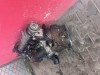Motor 1,9TD 66KW DHY - DHX Peugeot Citroen prodám