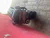 Motor 1,6 16V 5FW 5F05 VTI 88KW Peugeot 308 záruka