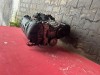 Motor 1,4 16 VTI 8FS 70KW Peugeot Citroen záruka