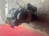 Motor 1,9TDI 77KW VW Touran typ BLS kompletní