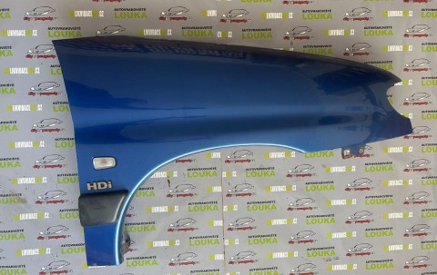 PŘEDNÍ BLATNÍK, PEUGEOT PARTNER, MODRÝ, PRAVÝ