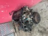 MOTOR 1,8 16V 81KW LFY PEUGEOT 406 306 CITROEN
