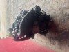 Motor 1,9TDI 66 KW Škoda Octavia typ ALH kompletní