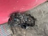 Motor 1,4 8V KFW 55KW Peugeot 206 prodám