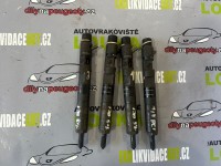VSTŘIKY 1,5DCI DELPHI 8200365186, 8200049873, RENAULT