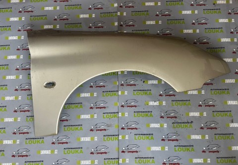 PŘEDNÍ BLATNÍK, PEUGEOT 206, ŠEDÝ - ETS, PRAVÝ