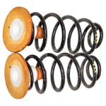 pružina zadní - pár VW Multivan T7 7T0 2,0 TDi DSS